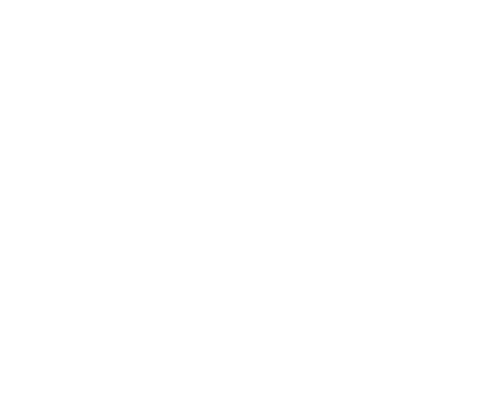 C4 Corrosion Icon