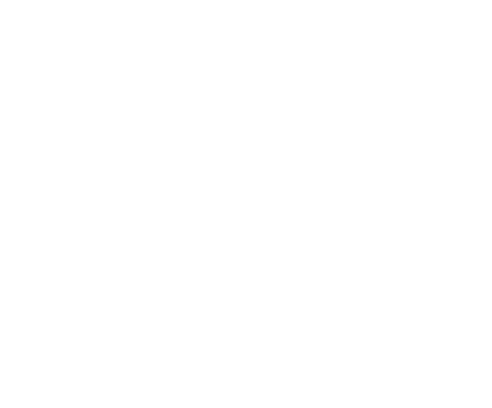 C5 Corrosion Icon
